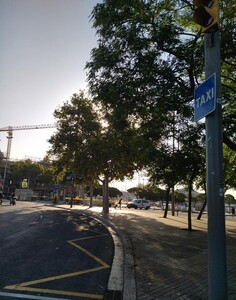 Parada de la plaça del Portal de la Pau